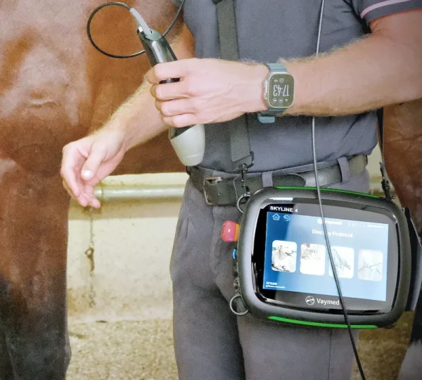 Láseres de Diodo Veterinarios